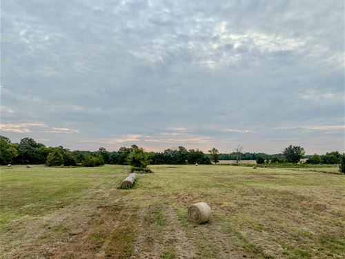 10+/- Acres of Serene Country : Detroit : Red River County : Texas