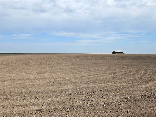 North Chappell Dryland : Chappell : Deuel County : Nebraska