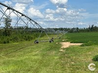 385+/- Acre Rocky Creek Tract : Marianna : Jackson County : Florida