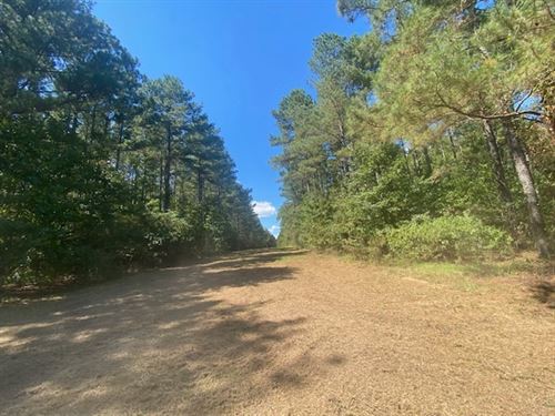 26 Acres, Tylertown, MS : Tylertown : Walthall County : Mississippi