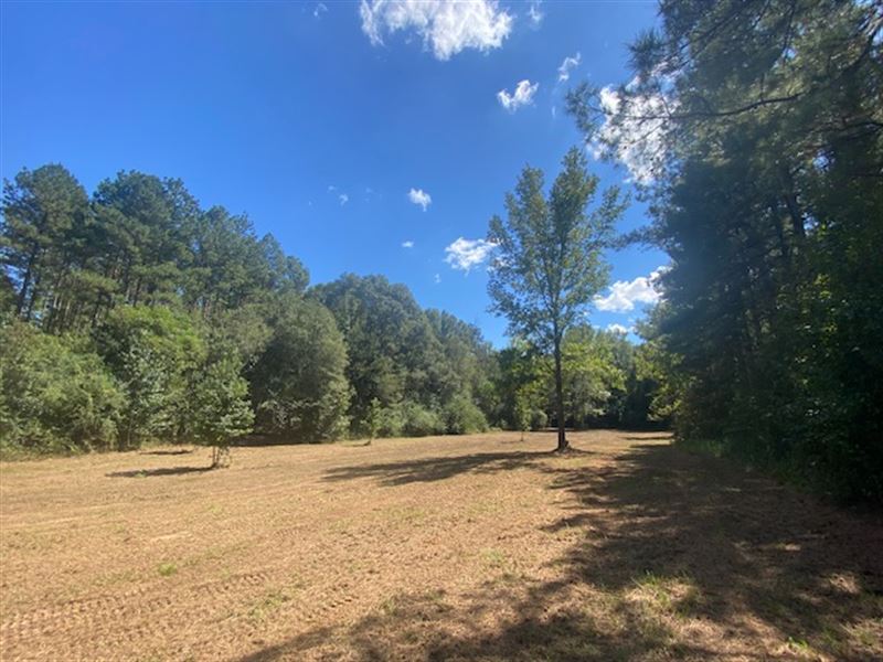 60 Acres, Tylertown, MS : Tylertown : Walthall County : Mississippi