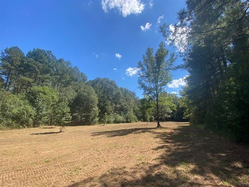 60 Acres, Tylertown, MS : Tylertown : Walthall County : Mississippi