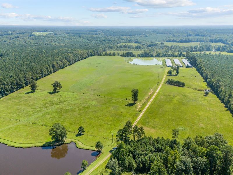 Vacant Lot for Sale in Castalia, NC, Farm for Sale in North Carolina