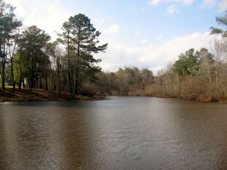 213 Acres Farm : Wrightsville : Johnson County : Georgia