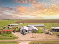 Farm, Ranch & Hunting Land : Sudan : Bailey County : Texas