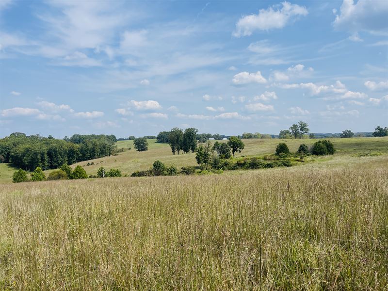 Farm for Sale in Southern Missouri, Farm for Sale in Missouri, 383458
