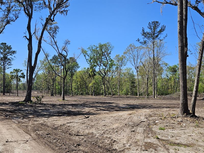 125 Acres in Micanopy, FL : Micanopy : Marion County : Florida
