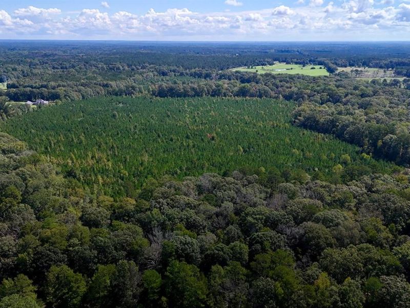 117 Ac County Line Rd, Summit, MS, Farm for Sale in Mississippi