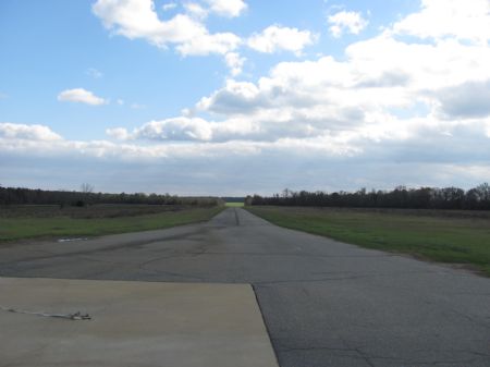 Air Strip Farm Great Income : Vienna : Dooly County : Georgia