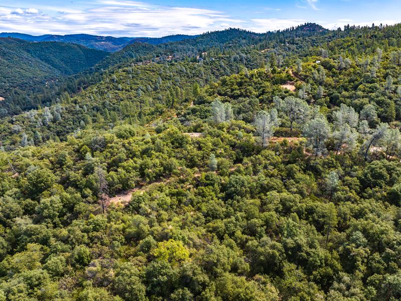 Price Reduced on 5+ Acres : Murphys : Calaveras County : California