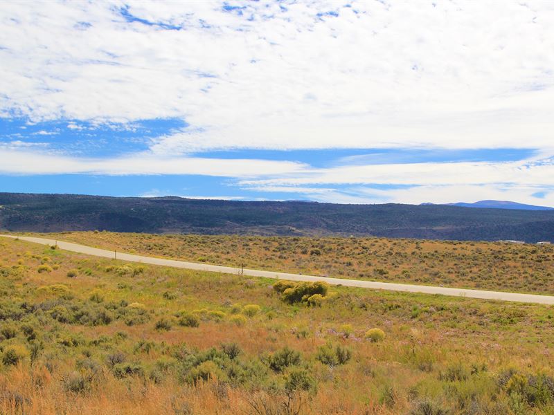 Expansive 40 Acre Lot in San Luis : San Luis : Costilla County : Colorado