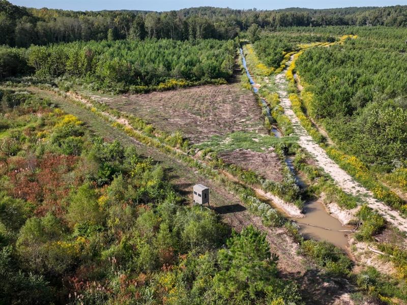 Itawamba, 442 Acres of Prime Recre, Farm for Sale in Mississippi