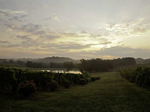 Chaumette Vineyards & Winery : Sainte Genevieve : Ste. Genevieve County : Missouri