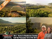 Gorgeous Apple Orchard in Henderson : Hendersonville : Henderson County : North Carolina