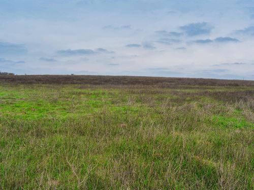 5+ Acres in Guadalupe County : Kingsbury : Guadalupe County : Texas