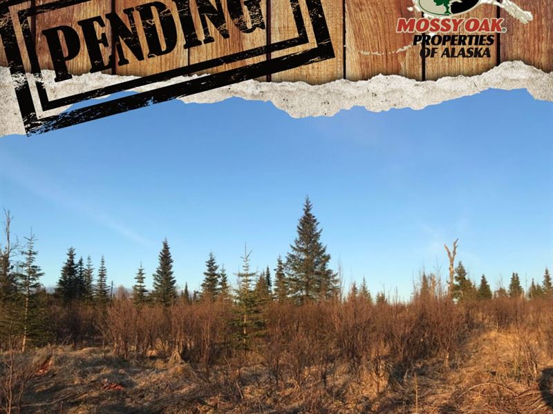 9 Acre Beautiful View Near Road Car : Ninilchik : Kenai Peninsula Borough : Alaska
