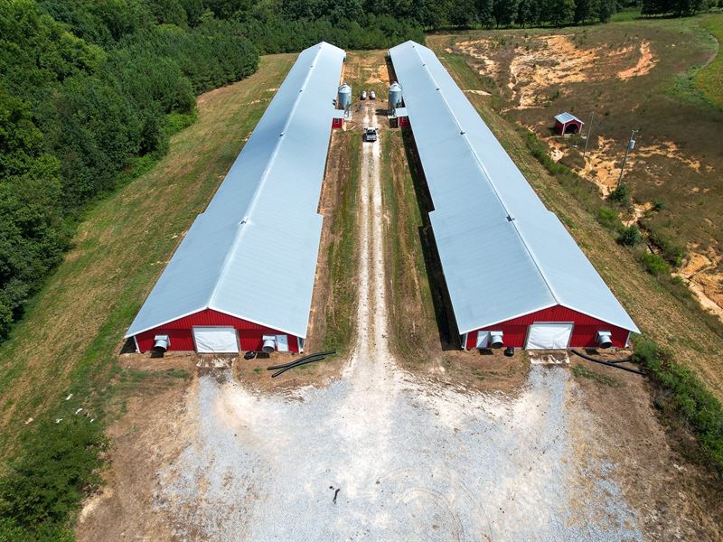 Beau Tye Broiler Farm : Ider : Dekalb County : Alabama
