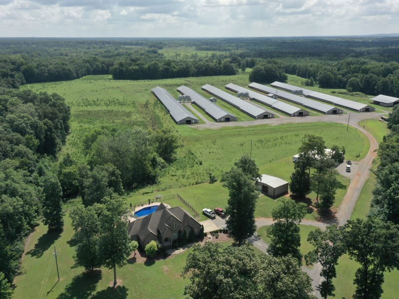 Rock Creek Broiler Farm : Town Creek : Lawrence County : Alabama