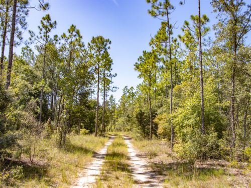 Florida Minifarm Farms for Sale : FARMFLIP