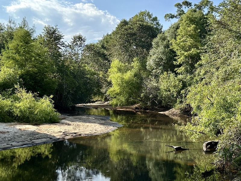 1394 Acres Yellow River Cr32, Farm for Sale in Alabama, 384176 FARMFLIP