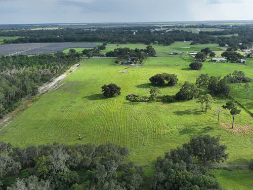 3990 East Gaskins Road : Bartow : Polk County : Florida