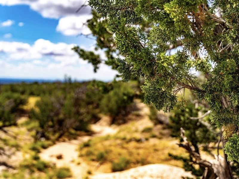 5 Acre OffGrid Desert Paradise, Farm for Sale by Owner in Arizona