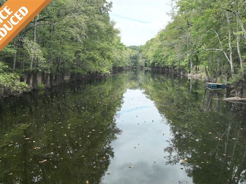 Bodcau Bayou Ducks And Bucks, Lafay : Stamps : Lafayette County : Arkansas