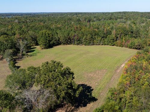 229 Acre Hunting Tract at Gee's Ben : Alberta : Wilcox County : Alabama
