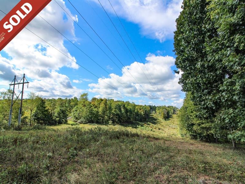 Happy Hollow Rd Tract 6, 17 Acres : Waverly : Wood County : West Virginia