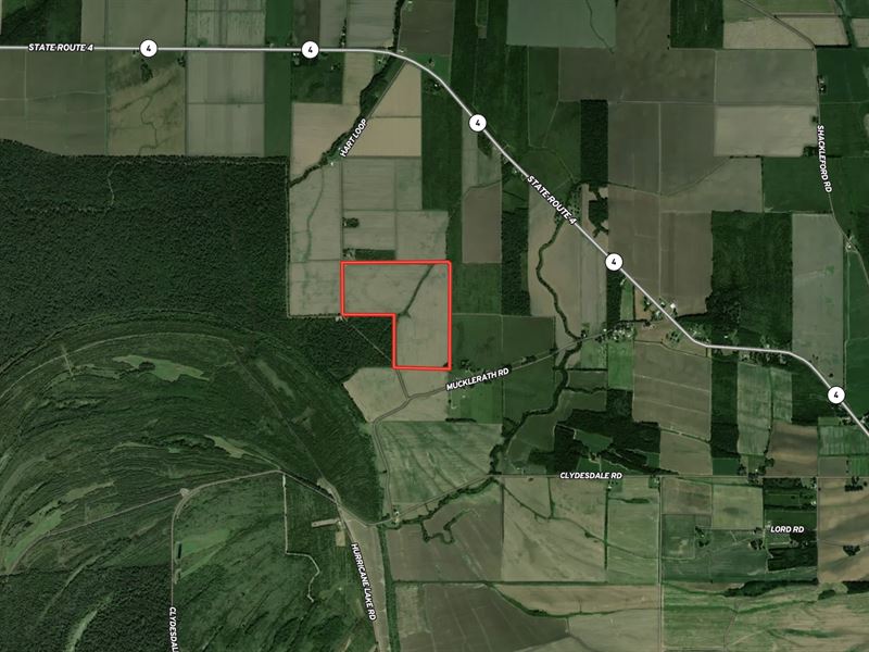 La, Tensas 121 Acres : Newellton : Tensas Parish : Louisiana