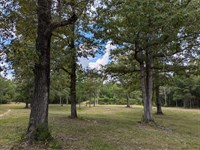 26 Acres With Pond : Matthews : Montgomery County : Alabama