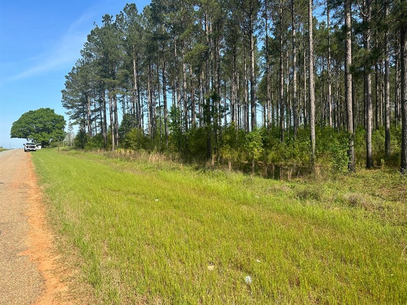 6 Acres Geneva Co AL : Hartford : Geneva County : Alabama