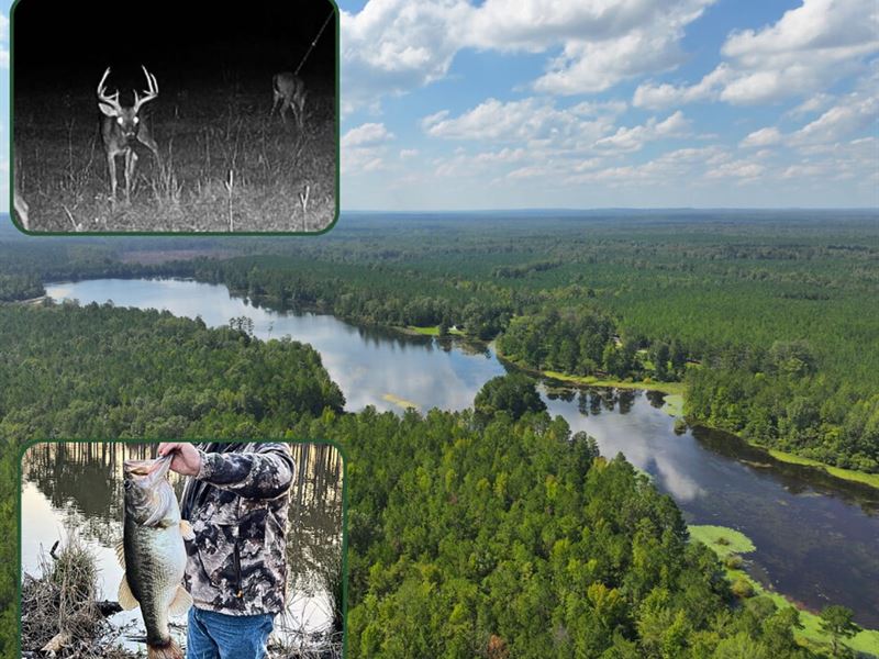 Spring Hill Lakes 3,077 Ac, Barbour : Springhill : Barbour County : Alabama