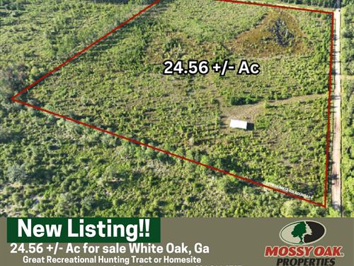24.56 Ac For Sale With Pole Barn : White Oak : Camden County : Georgia