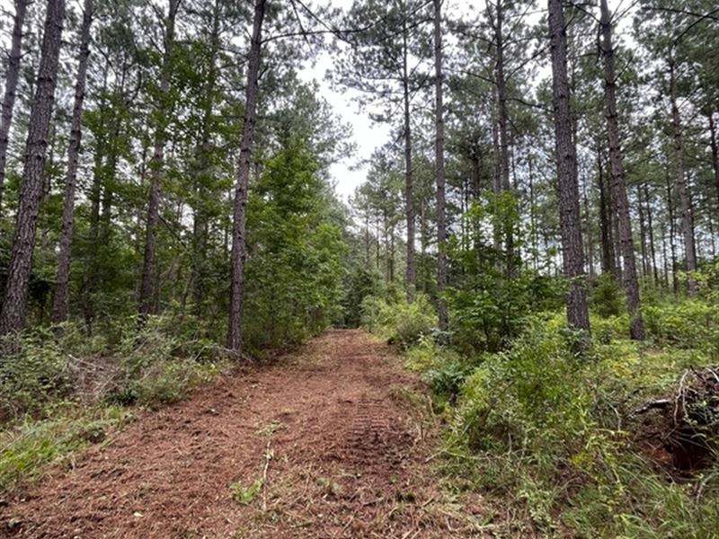 7.4 Acres in Pike County, MS, Farm for Sale by Owner in Mississippi