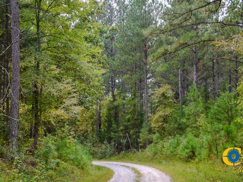 Arrowhead Hill Tract : Pacolet : Cherokee County : South Carolina