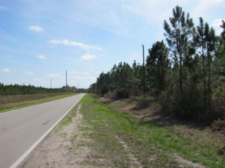50 Ac. $2750/acre- Starke : Starke : Bradford County : Florida