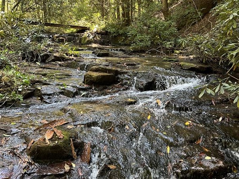 Ellijay 131+/ Acre Online Auction, Farm Auction in 384983