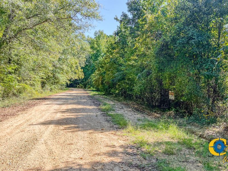 North Litroe Tract, Farm for Sale in Louisiana, 385096 FARMFLIP
