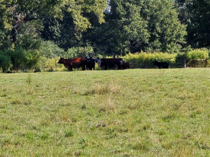 69 Acres in Lincoln County in Brook : Brookhaven : Lincoln County : Mississippi