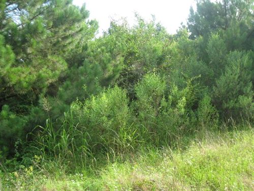 43 Acres in Texarkana, Arkansas : Texarkana : Miller County : Arkansas
