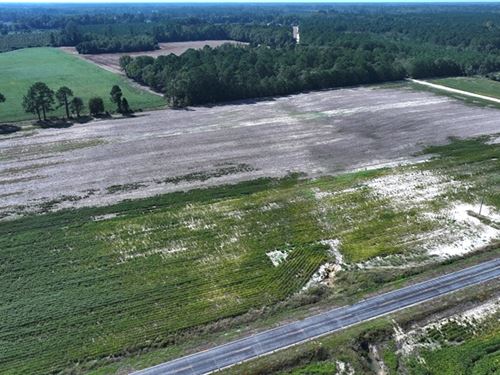 Spacious Rural Home Site : Fairmont : Robeson County : North Carolina