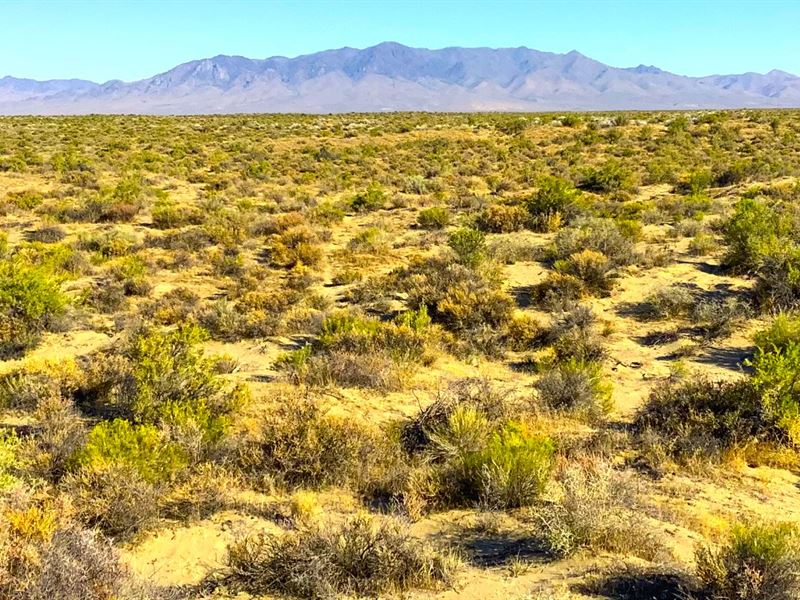 Affordable OffGrid Living, Nevada, Farm for Sale by Owner in Nevada