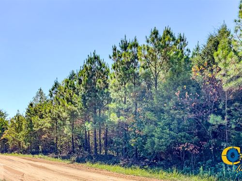 Hurricane Southeast Tract 3 : Stewart : Tennessee