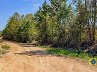 Hurricane Southeast Tract 1 : Stewart : Tennessee