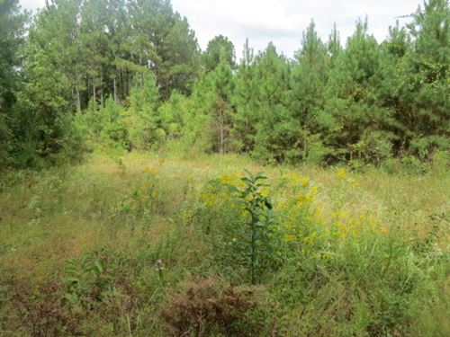 Timber & Hunting Near Lake Mitchell : Clanton : Chilton County : Alabama