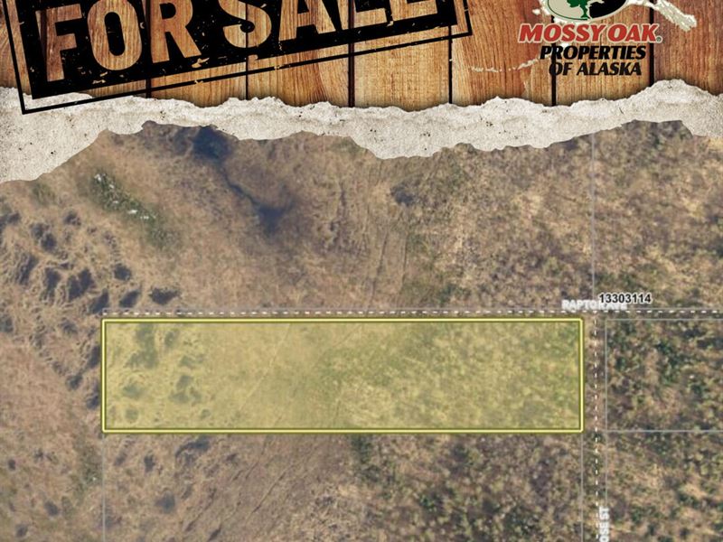 8.8 Acres in Kasilof Off Grid Land : Kasilof : Kenai Peninsula Borough : Alaska