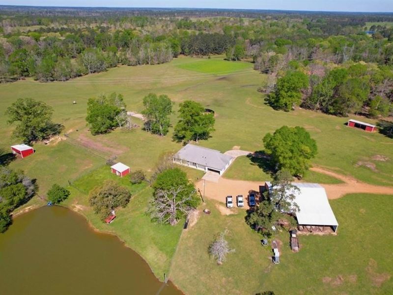 192 Acres of Land with 3 BR Hunting : Liberty : Amite County : Mississippi