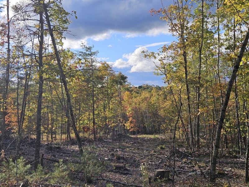 Jefferson, Map 12 Lot 13 South, Farm for Sale in Maine, 385706 FARMFLIP