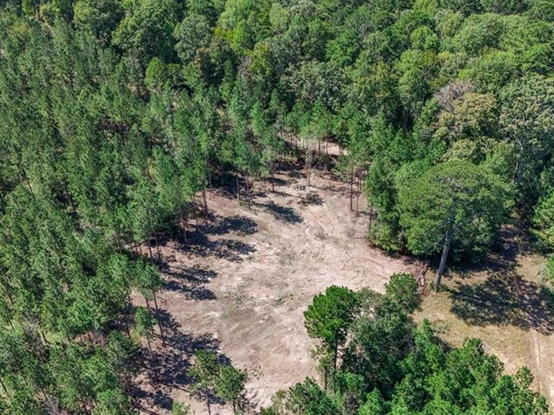 Turnkey Property in Amite County Co, Farm for Sale in Mississippi